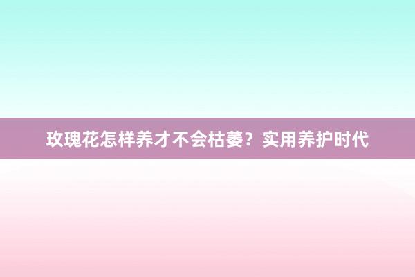 玫瑰花怎样养才不会枯萎?实用养护时代