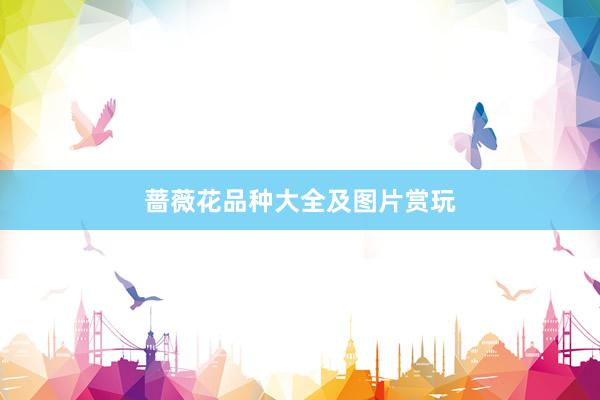 蔷薇花品种大全及图片赏玩