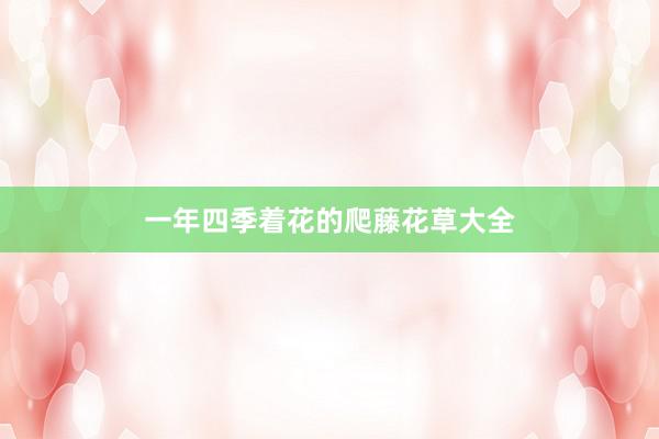 一年四季着花的爬藤花草大全