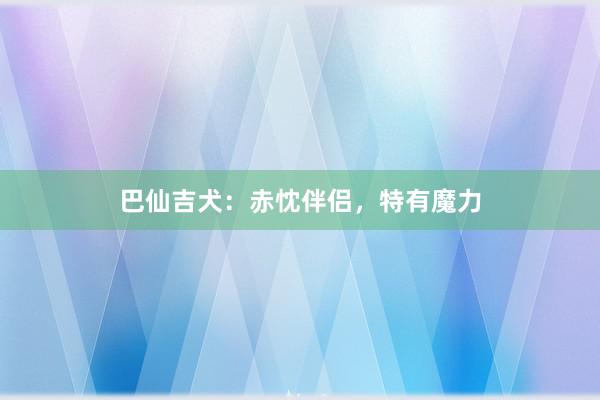 巴仙吉犬：赤忱伴侣，特有魔力