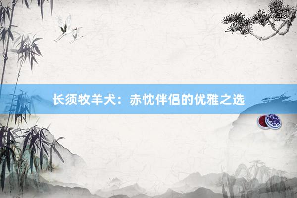 长须牧羊犬:赤忱伴侣的优雅之选