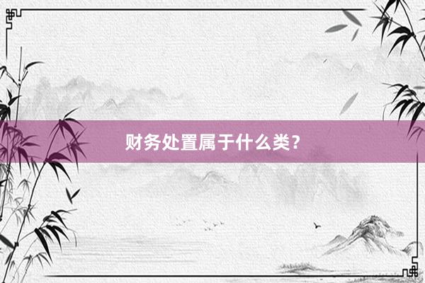 财务处置属于什么类？