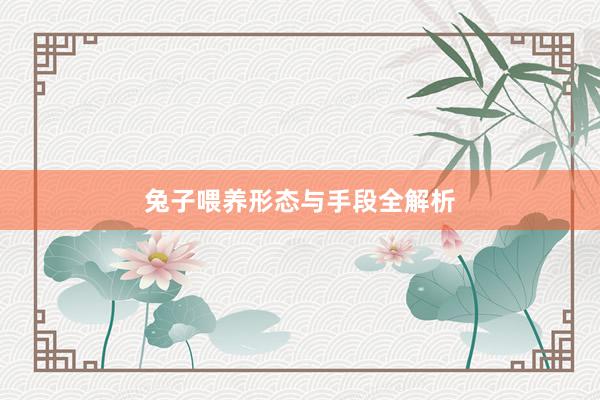 兔子喂养形态与手段全解析